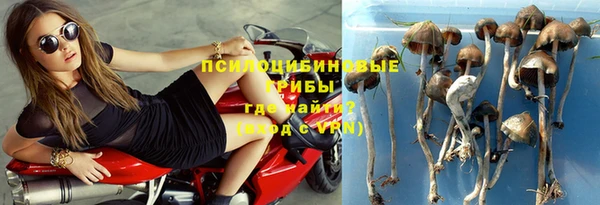 PSILOCYBIN Абдулино