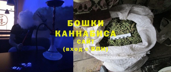PSILOCYBIN Абдулино