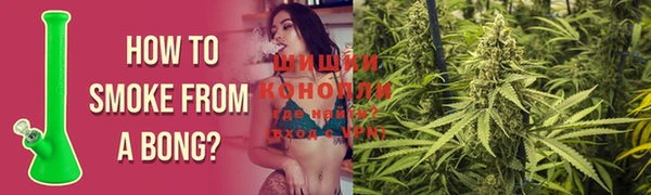 2c-b Абаза