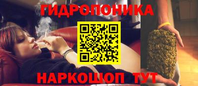 PSILOCYBIN Тверь