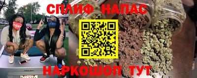 МДПВ Тара