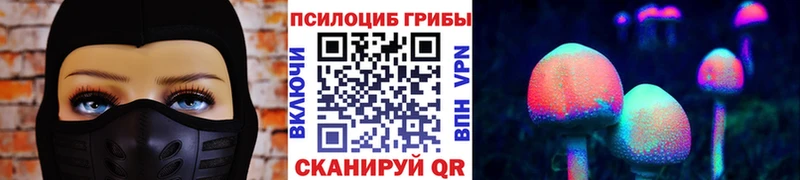 где купить наркотик  Тавда  Галлюциногенные грибы Psilocybe 