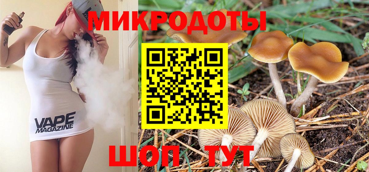 Галлюциногенные грибы Psilocybe  Вход с VPN  Тавда 