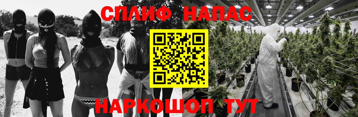 Шишки марихуана планчик Тавда