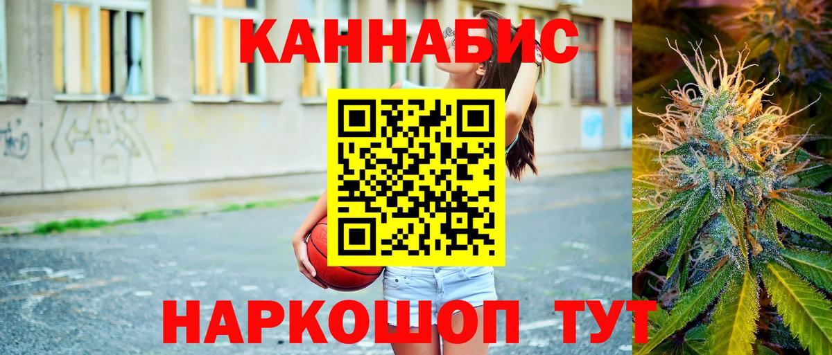 Конопля сатива  Каннабис план  Вход с VPN  Тавда 